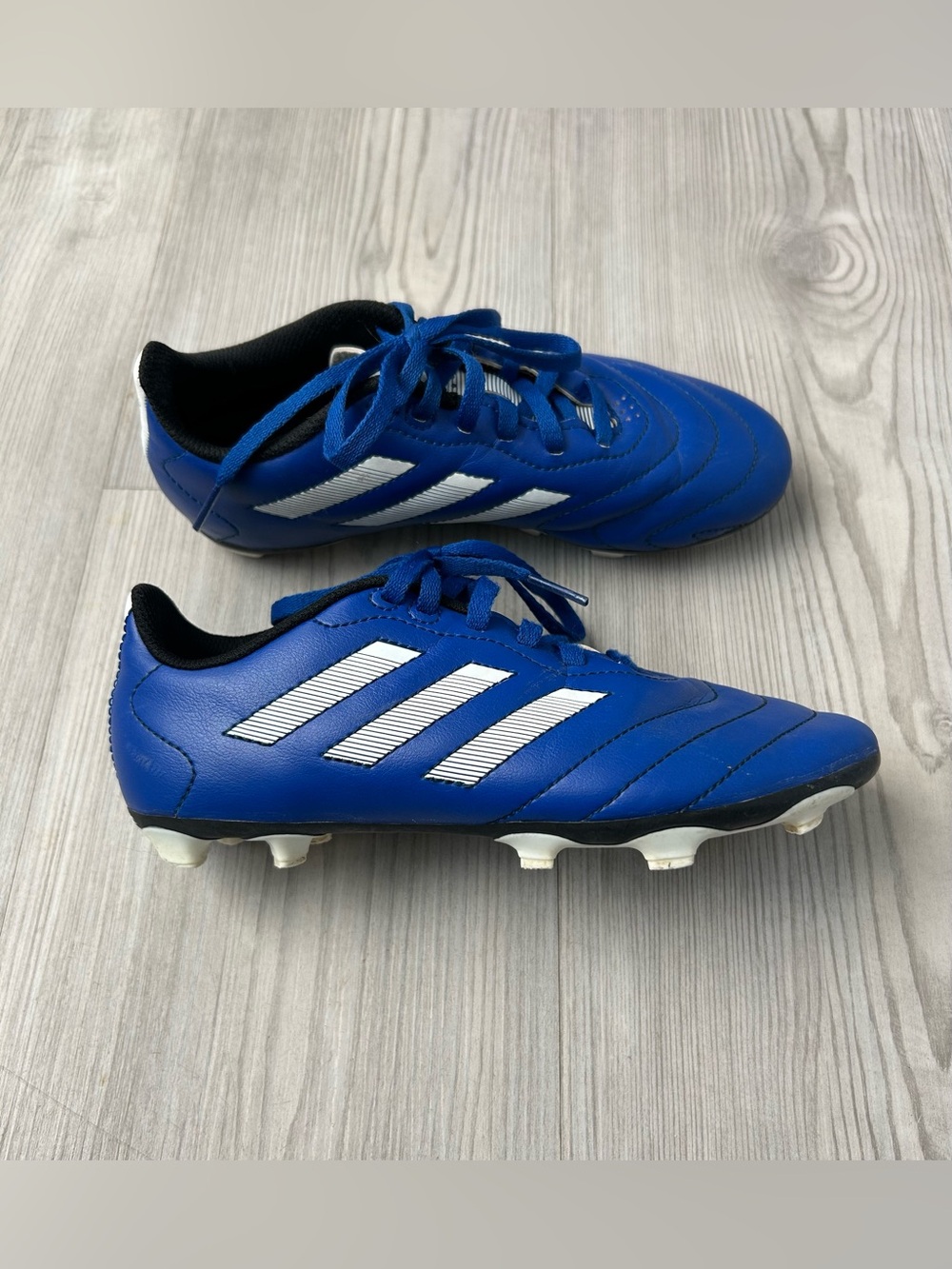 adidas Royal Blue and White Soccer Cleats